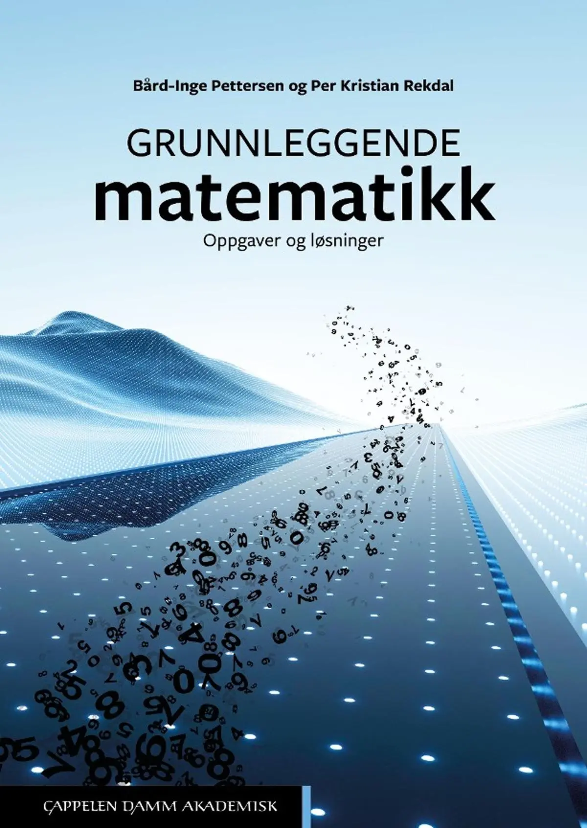 Grunnleggende matematikk: Oppgaver og løsninger