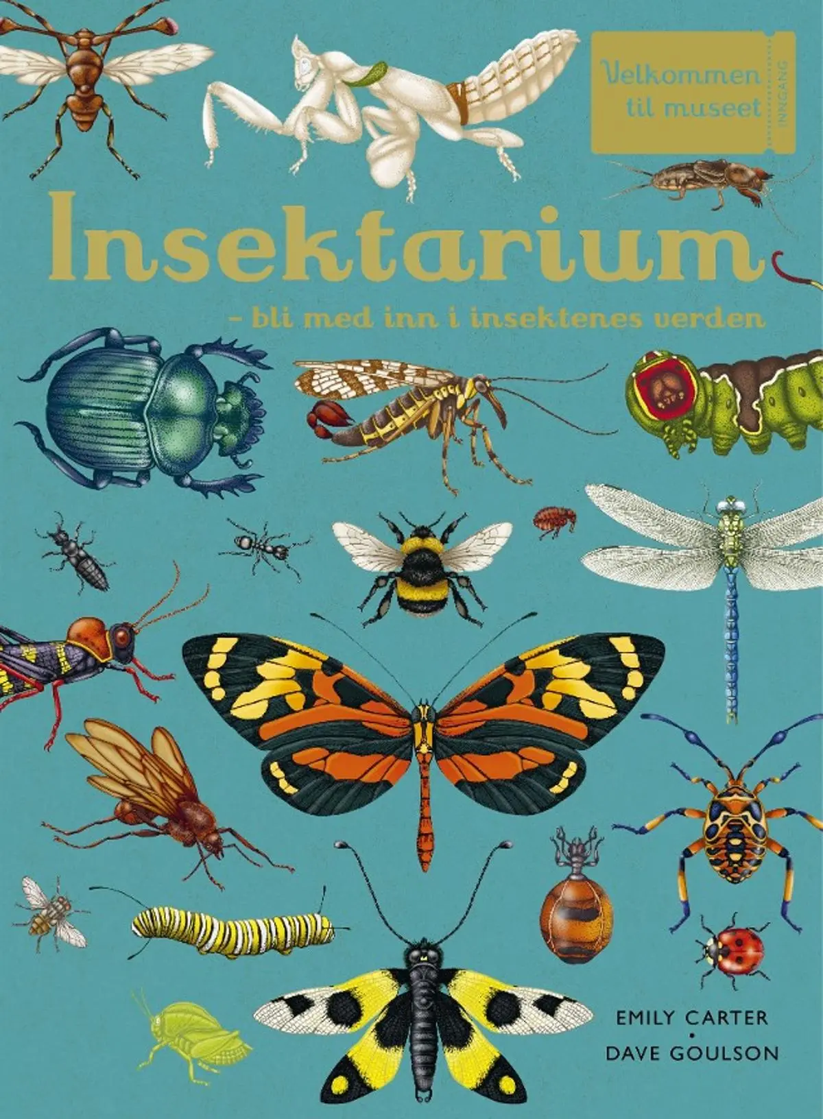 Insektarium: bli med inn i insektenes verden