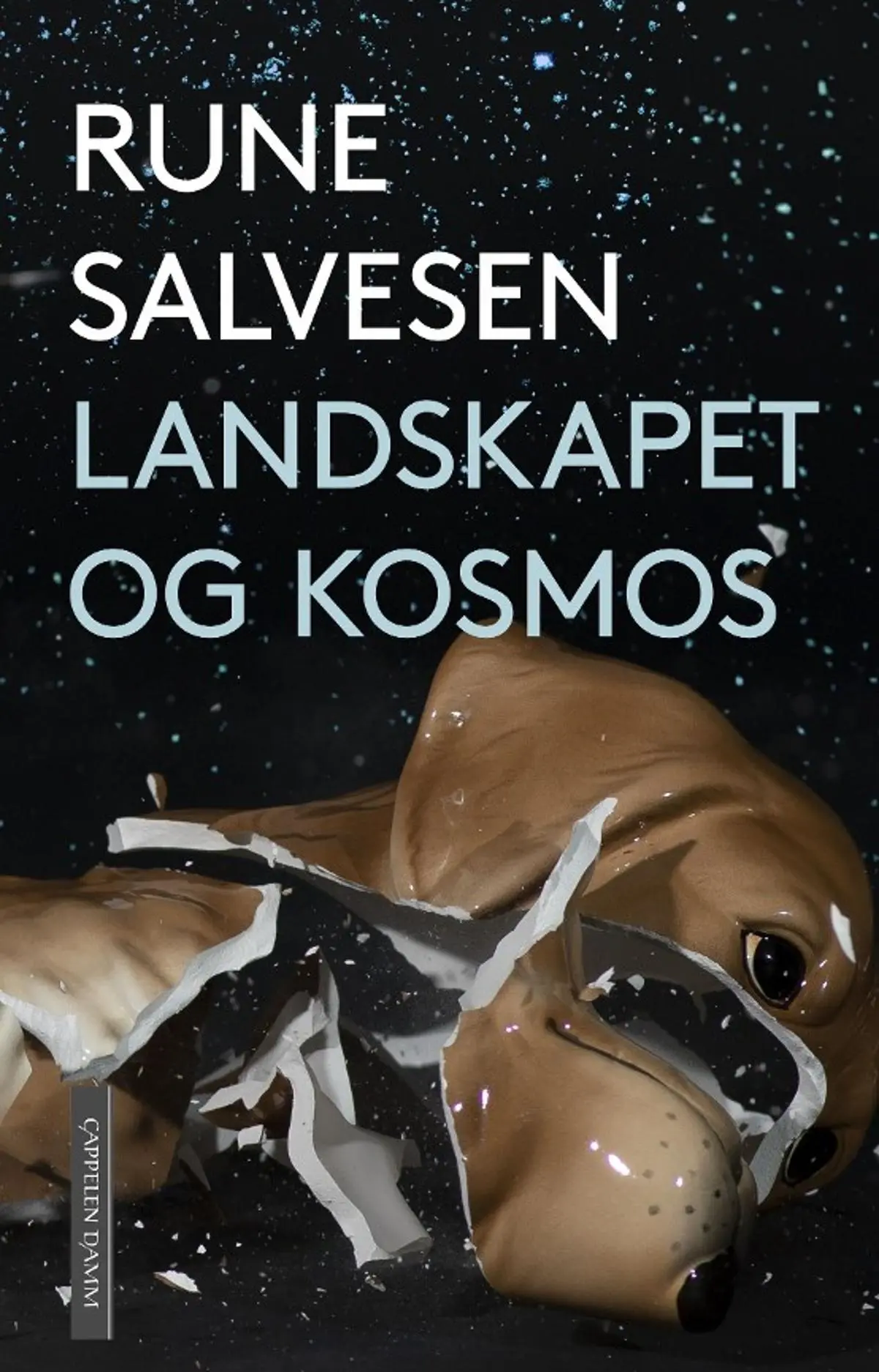 Landskapet og kosmos: roman