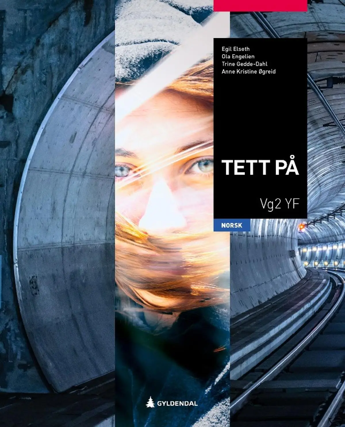Tett på: vg2 : norsk for yrkesfag