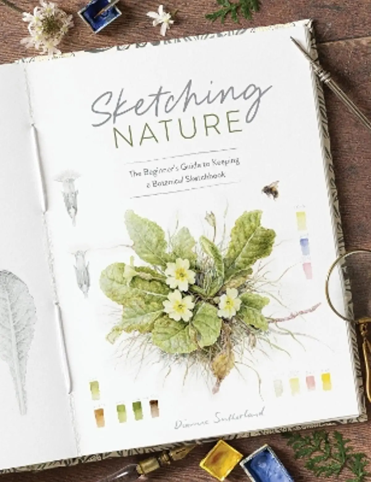 Sketching Nature: The Beginner’s Guide to Keeping a Botanical Sketchbook