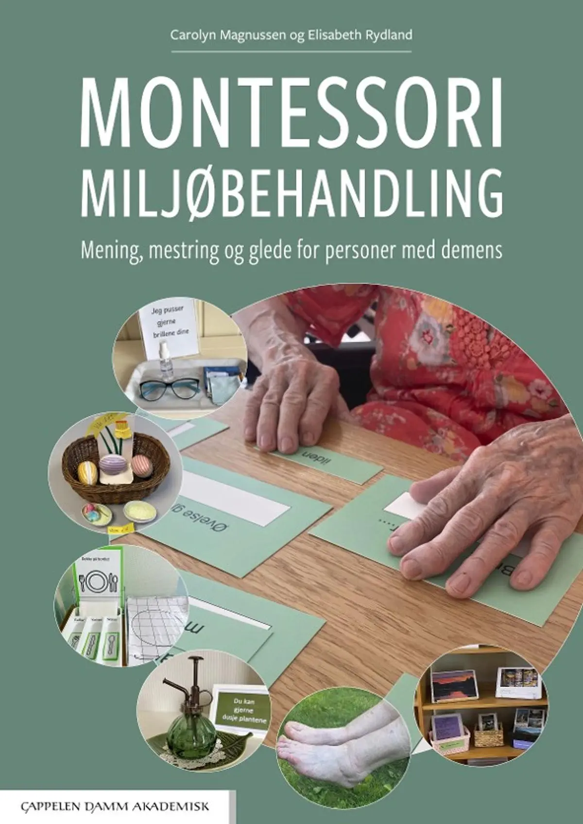 Montessori miljøbehandling: mening, mestring og glede for personer med demens