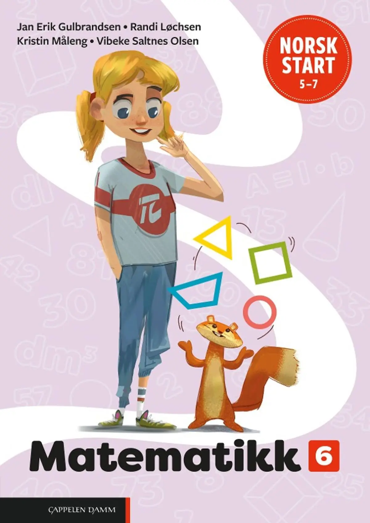 Norsk start 5–7: Matematikk 6