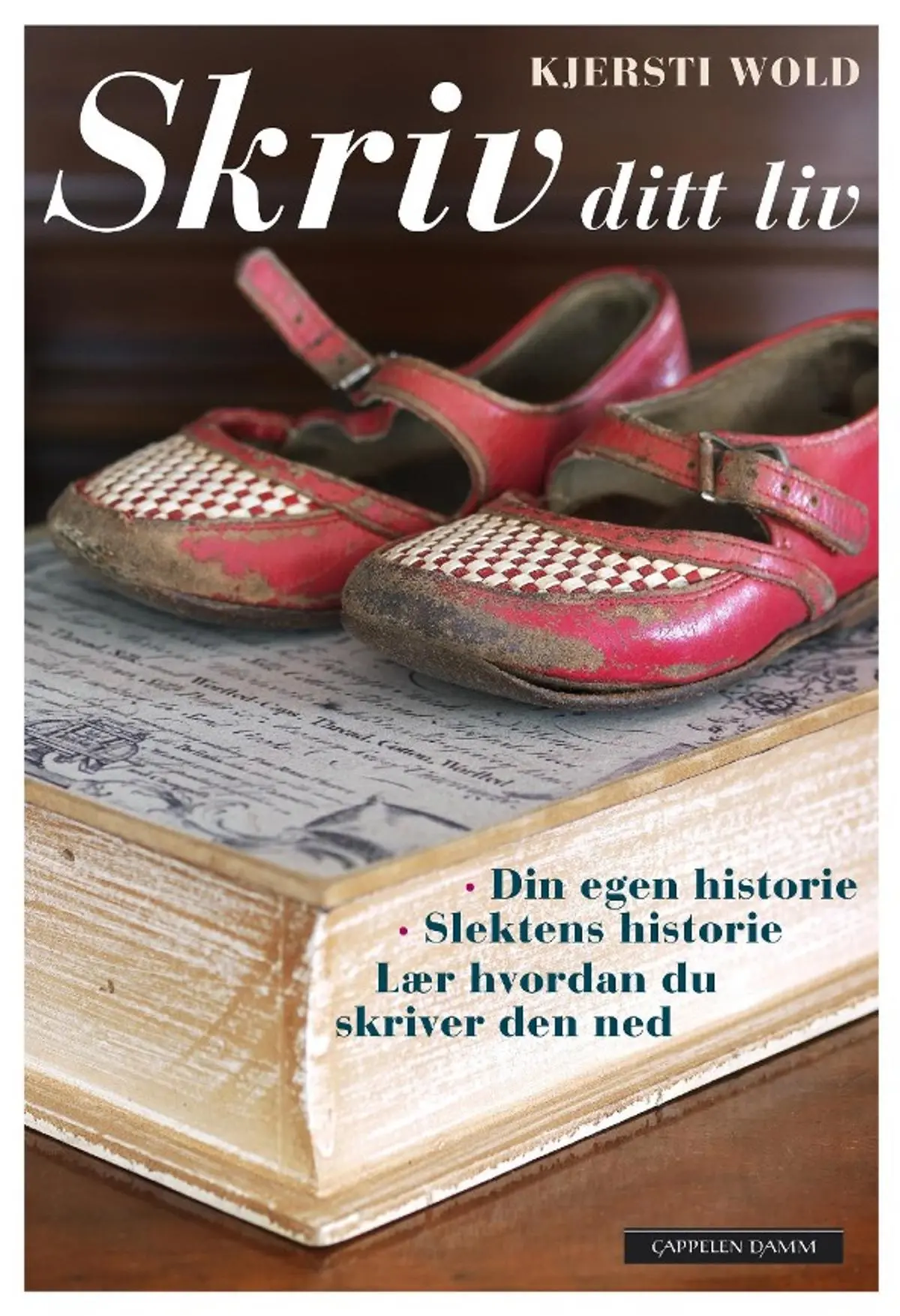 Skriv ditt liv: din egen historie : slektshistorien : lær hvordan du skriver den ned