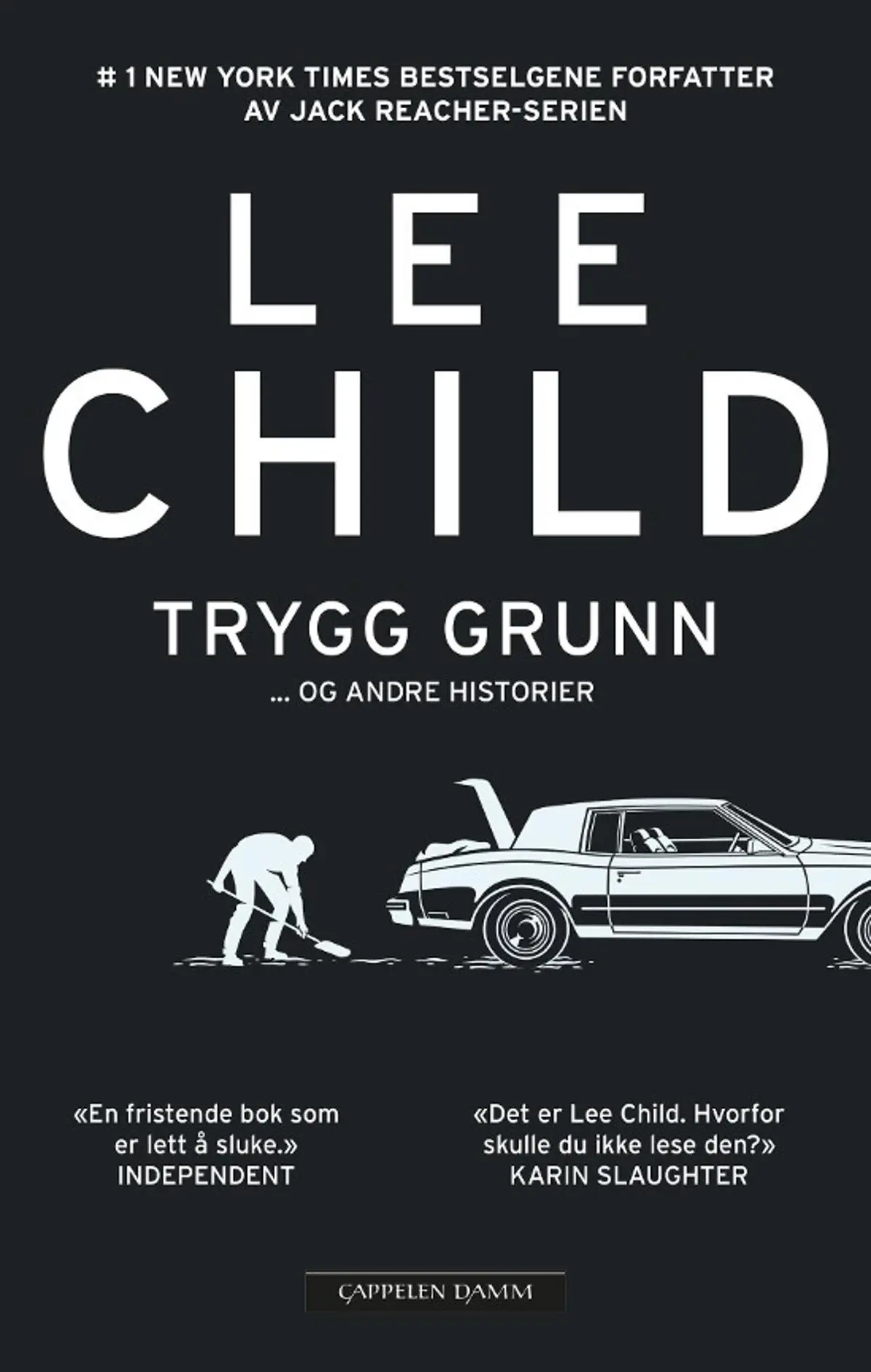 Trygg grunn: og andre historier