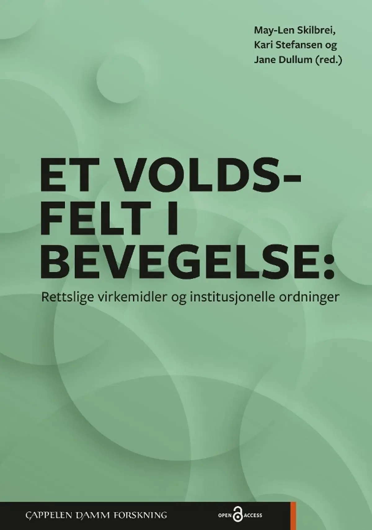 Et voldsfelt i bevegelse: rettslige virkemidler og institusjonelle ordninger