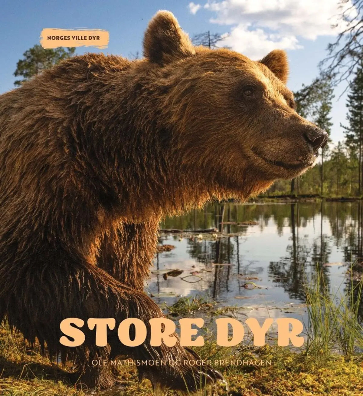 Store dyr: Norges ville dyr