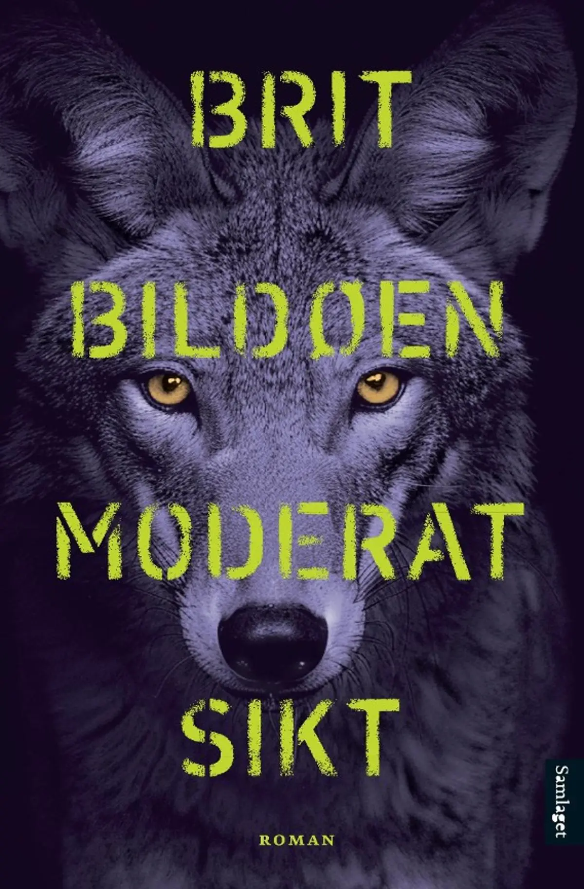 Moderat sikt: roman