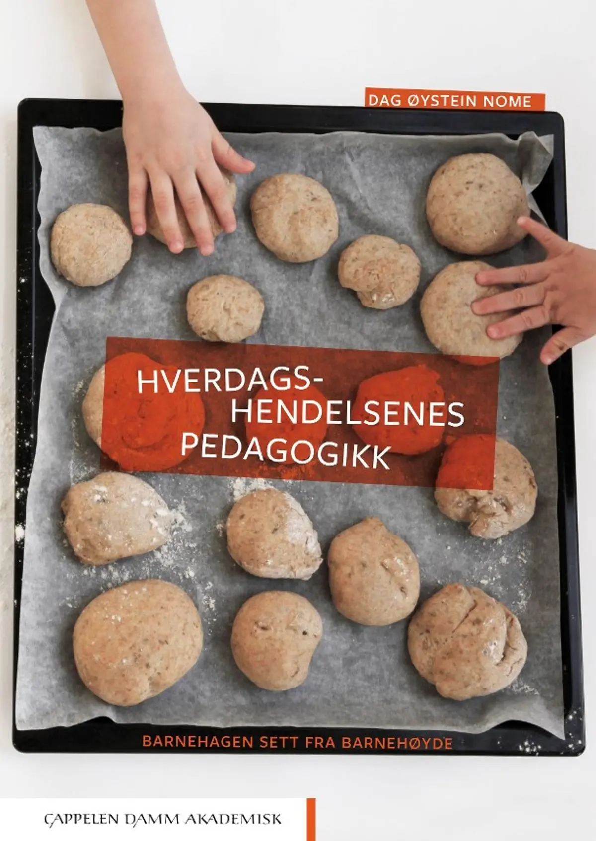 Hverdagshendelsenes pedagogikk: barnehagen sett fra barnehøyde