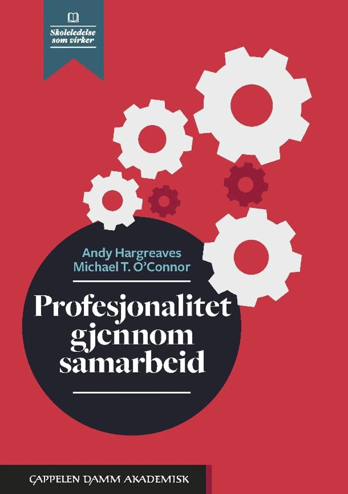 Profesjonalitet gjennom samarbeid: når undervisning i samarbeid gir læring for alle