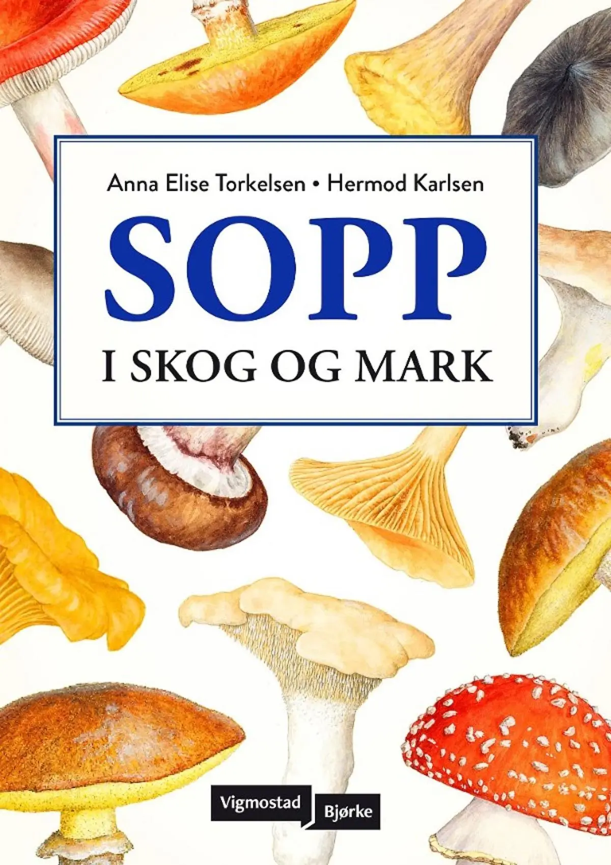 Sopp: i skog og mark