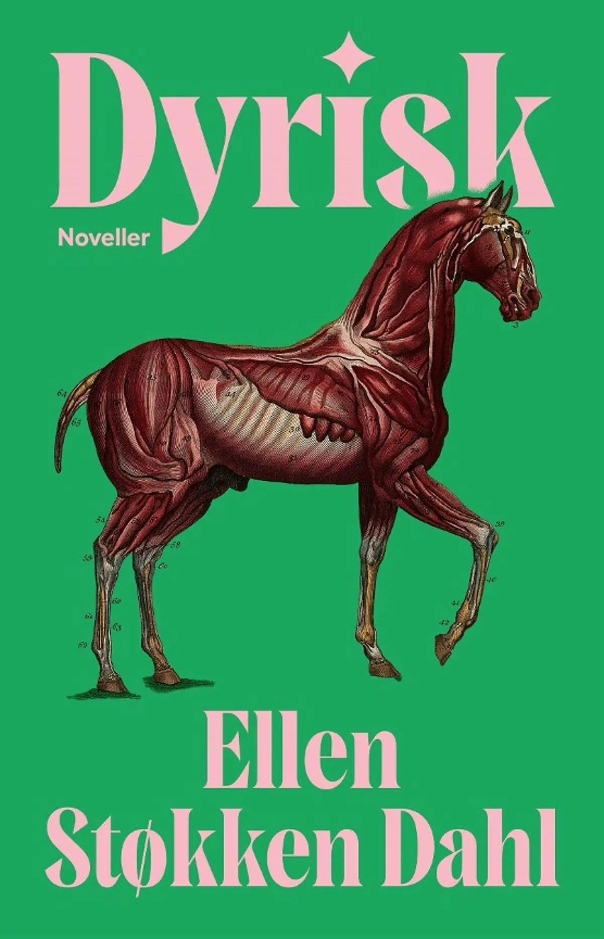 Dyrisk: noveller