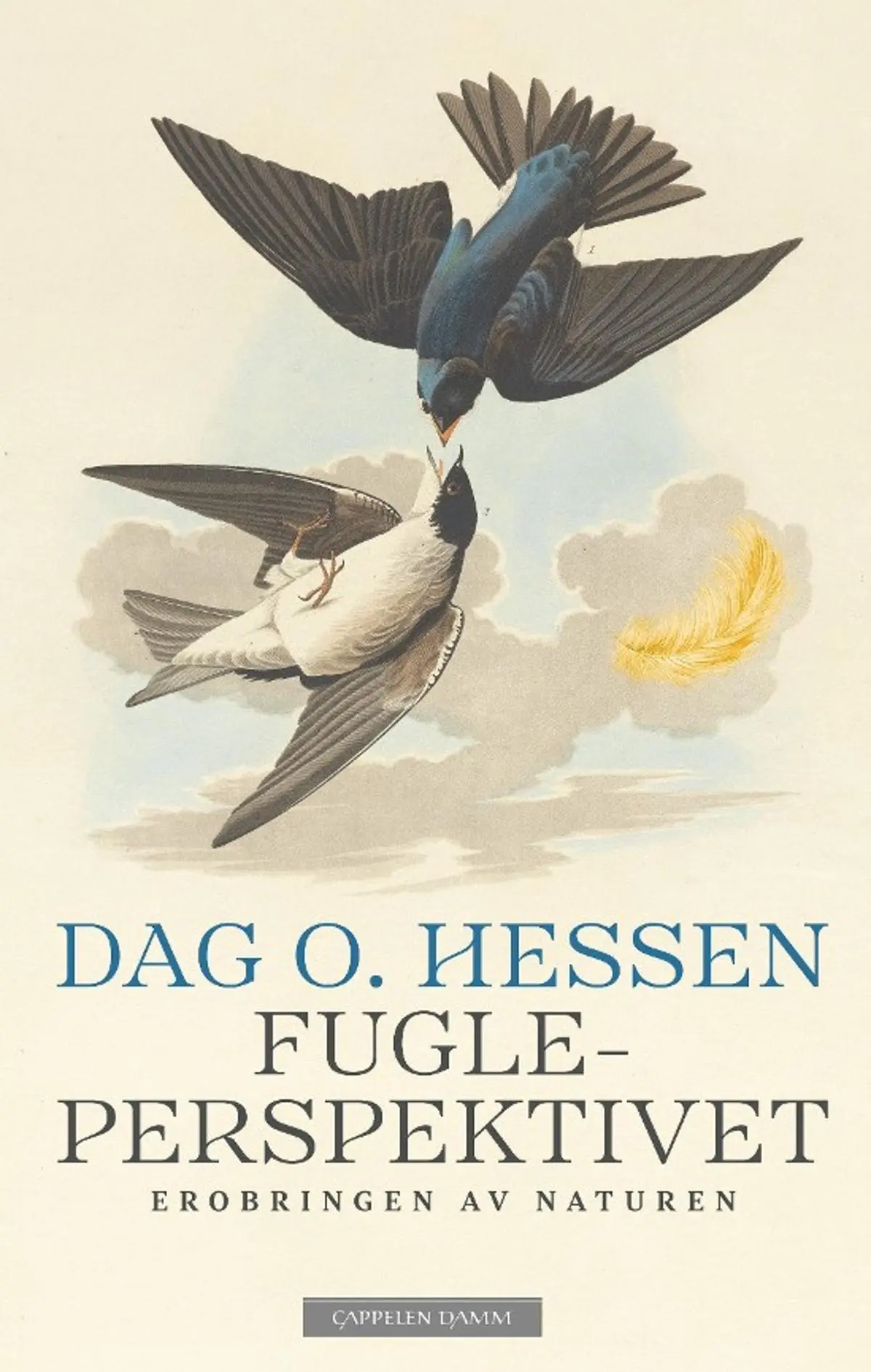 Fugleperspektivet: erobringen av naturen