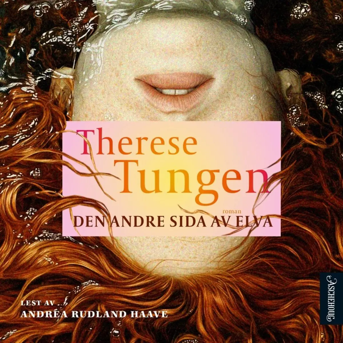 Den andre sida av elva