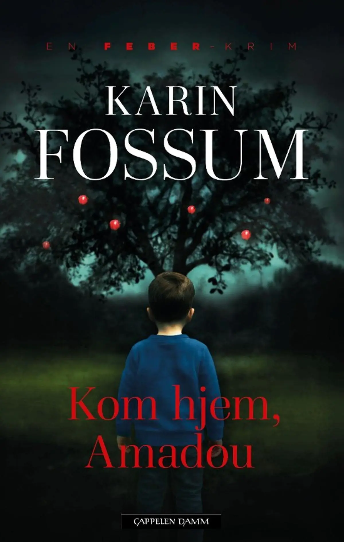 Kom hjem, Amadou