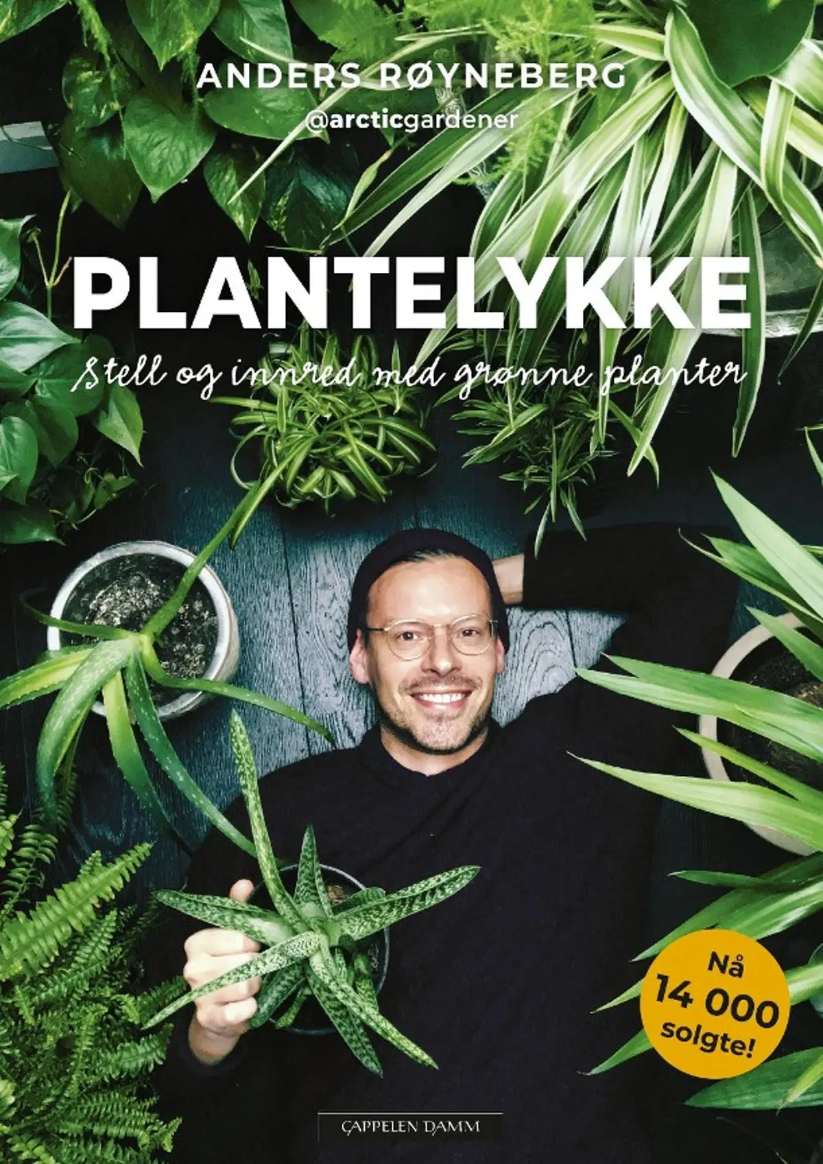Plantelykke: stell og innred med grønne planter