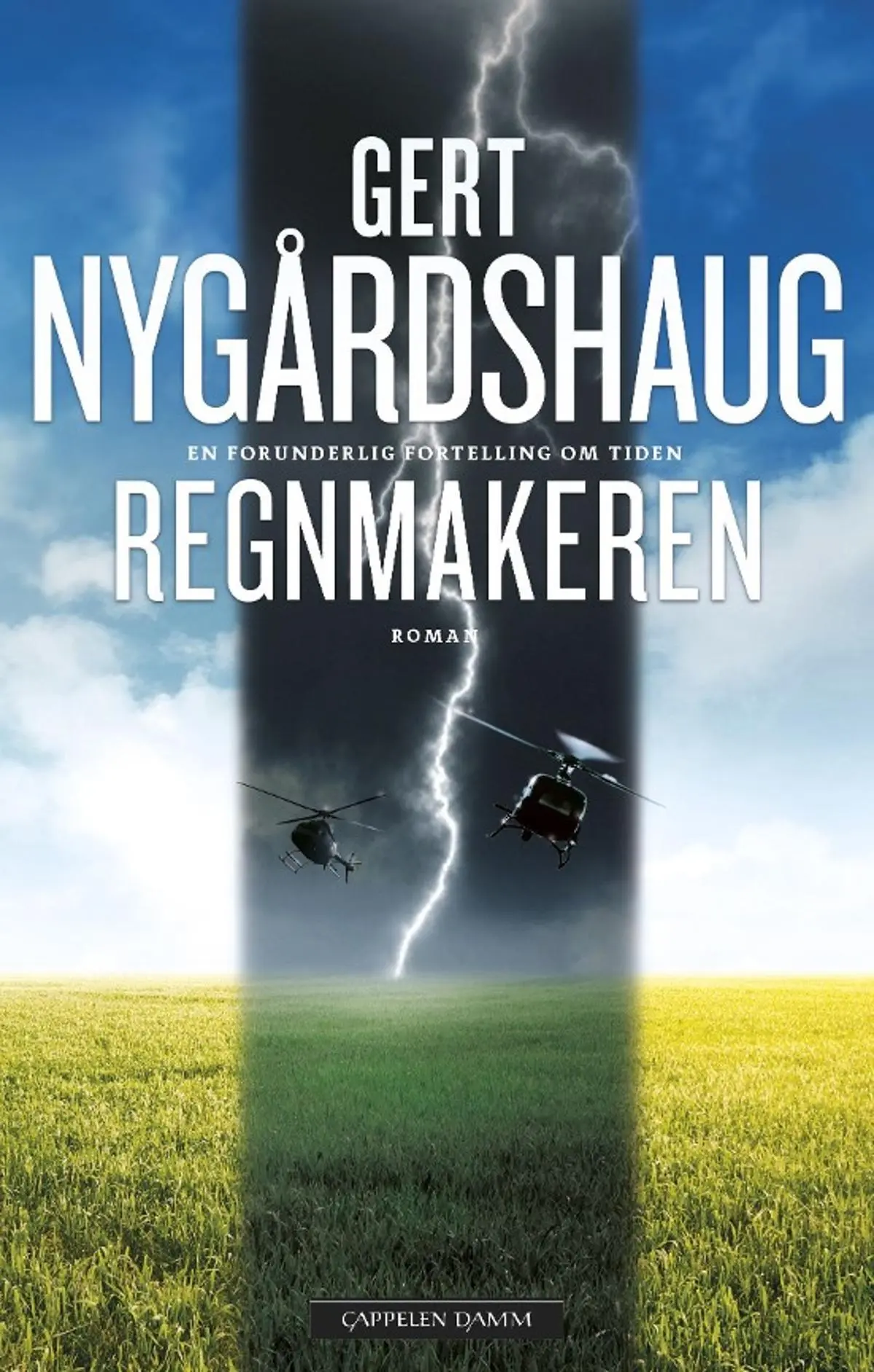 Regnmakeren: roman