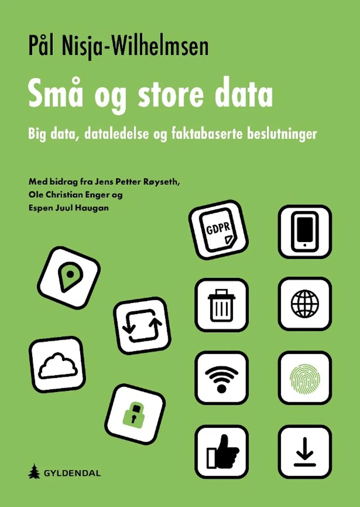 Små og store data: big data, dataledelse og faktabaserte beslutninger