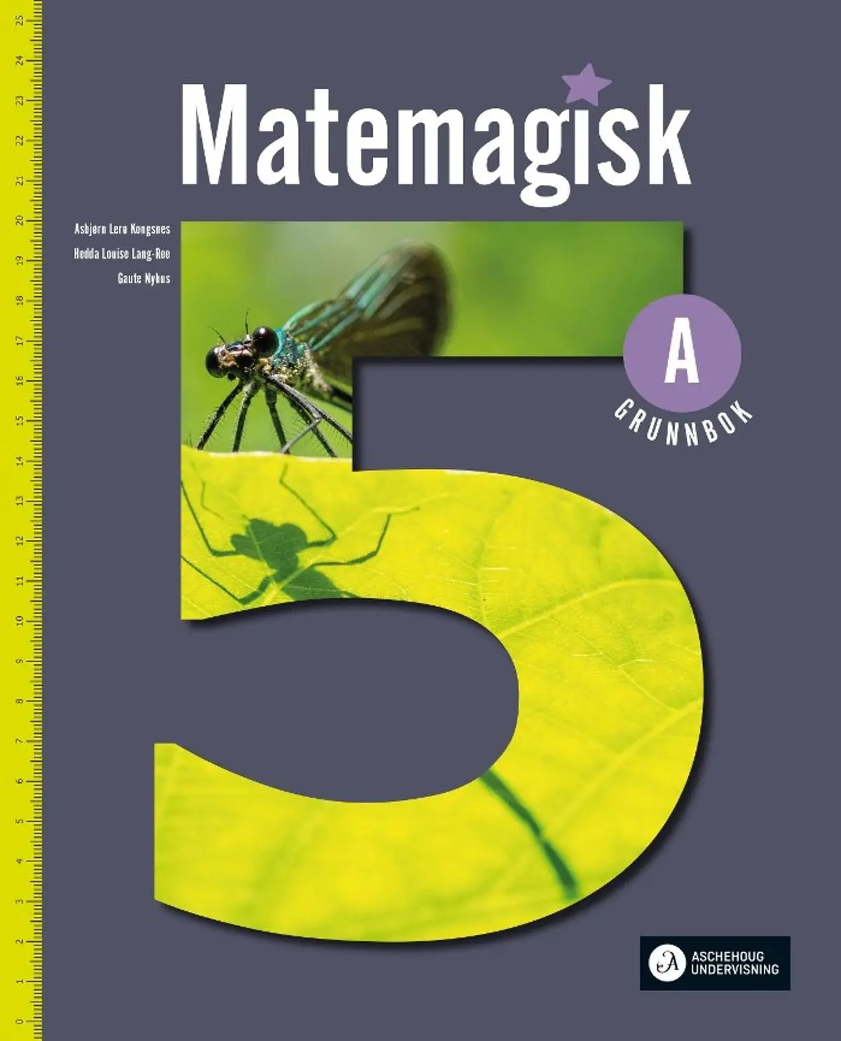 Matemagisk 5A: Grunnbok