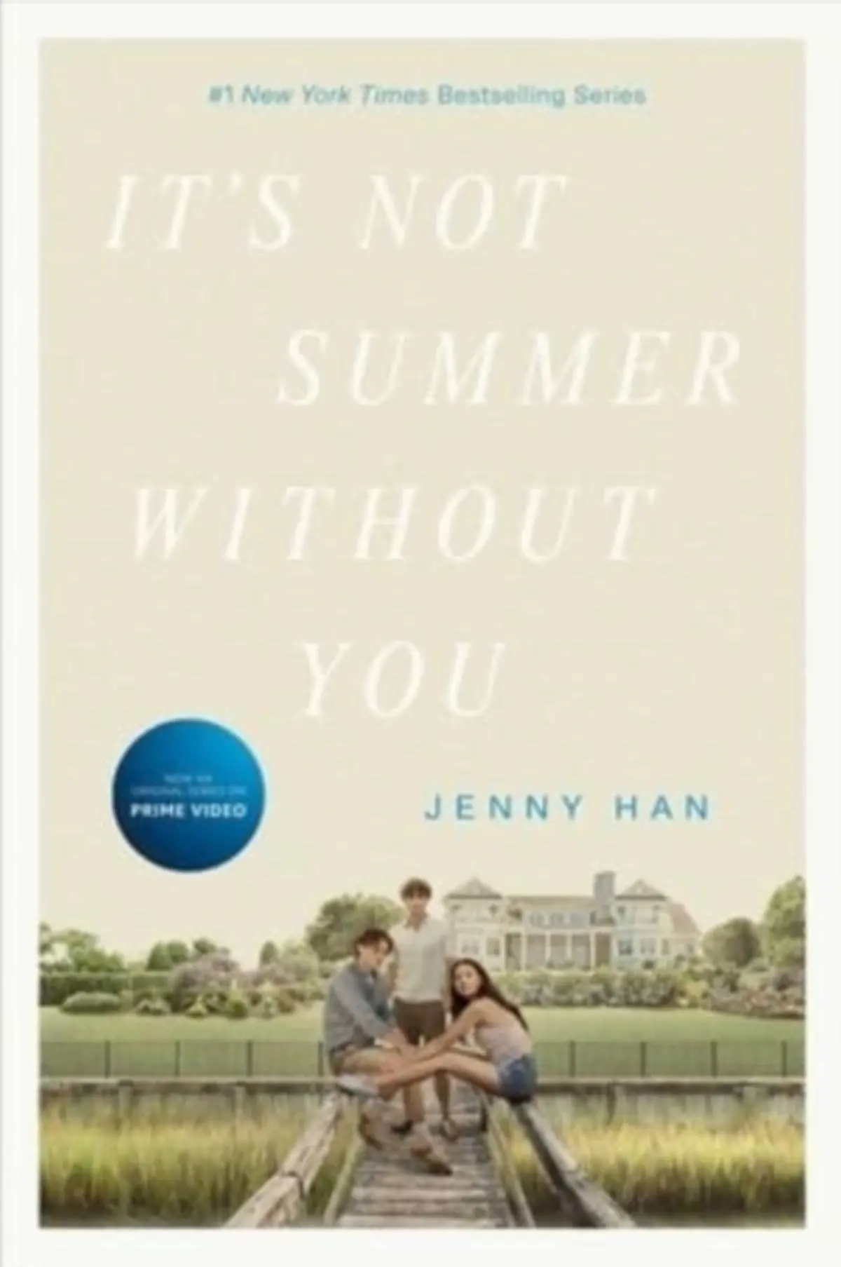 The It's Not Summer Without You