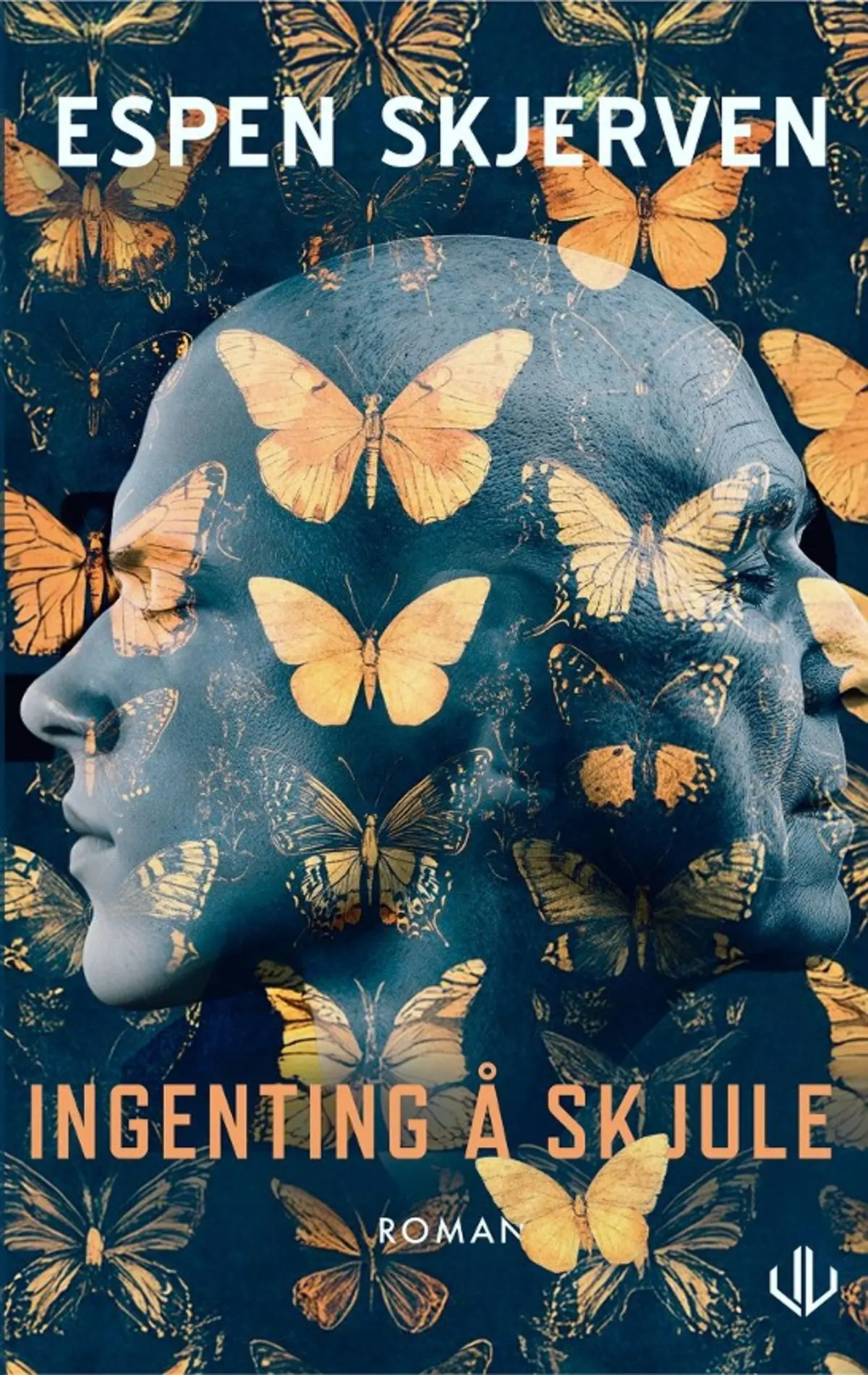 Ingenting å skjule