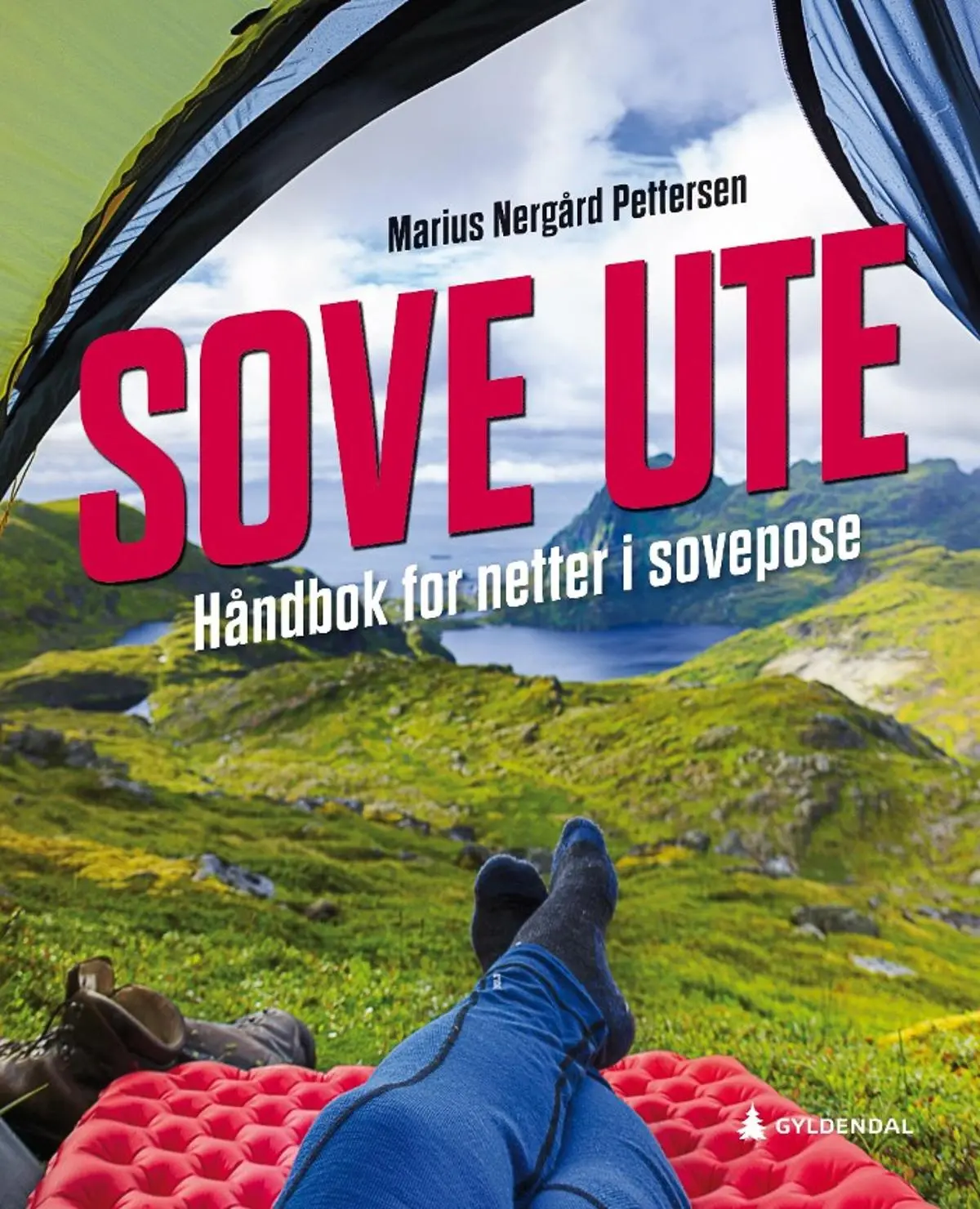 Sove ute: håndbok for netter i sovepose