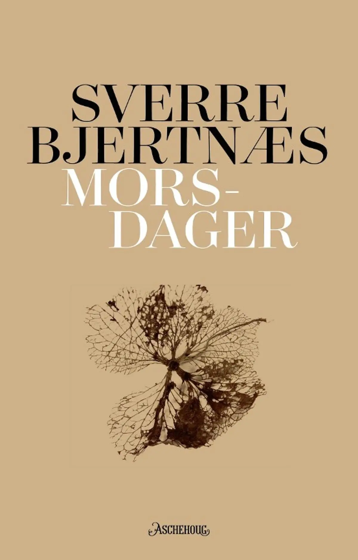 Morsdager: essay