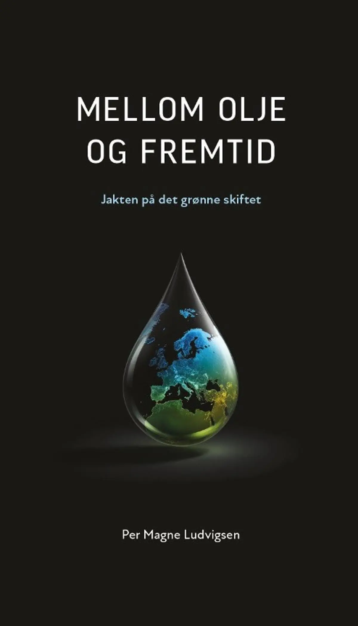 Mellom olje og fremtid: jakten på det grønne skiftet