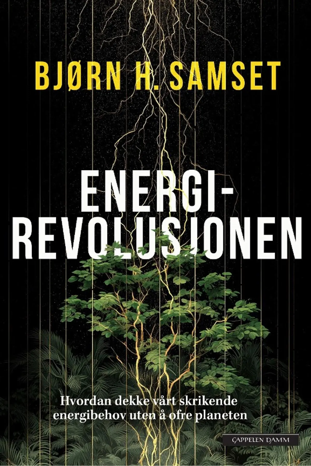 Energirevolusjonen: hvordan dekke vårt skrikende energibehov uten å ofre planeten