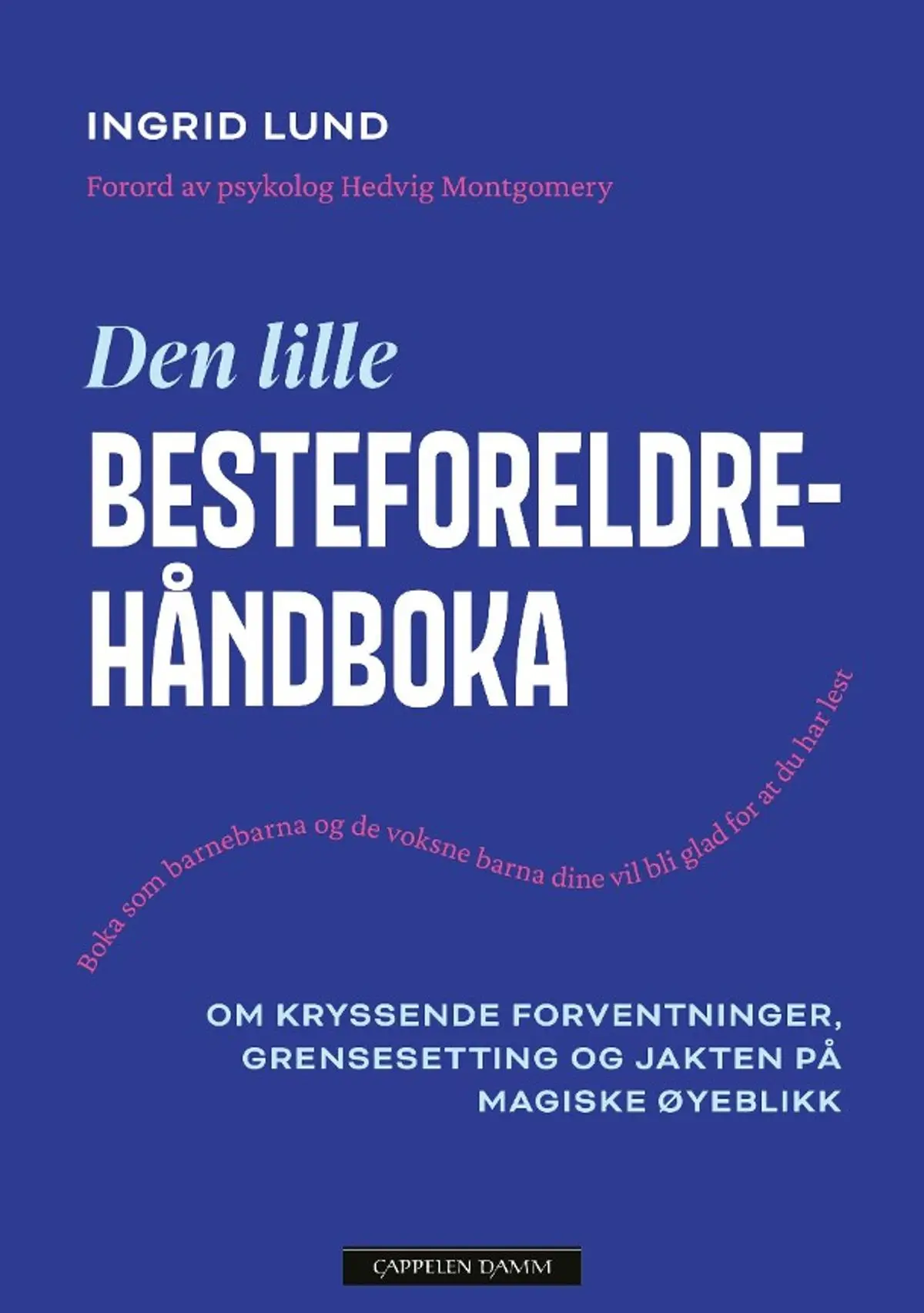 Den lille besteforeldrehåndboka: om kryssende forventninger, grensesetting og jakten på magiske øyeblikk