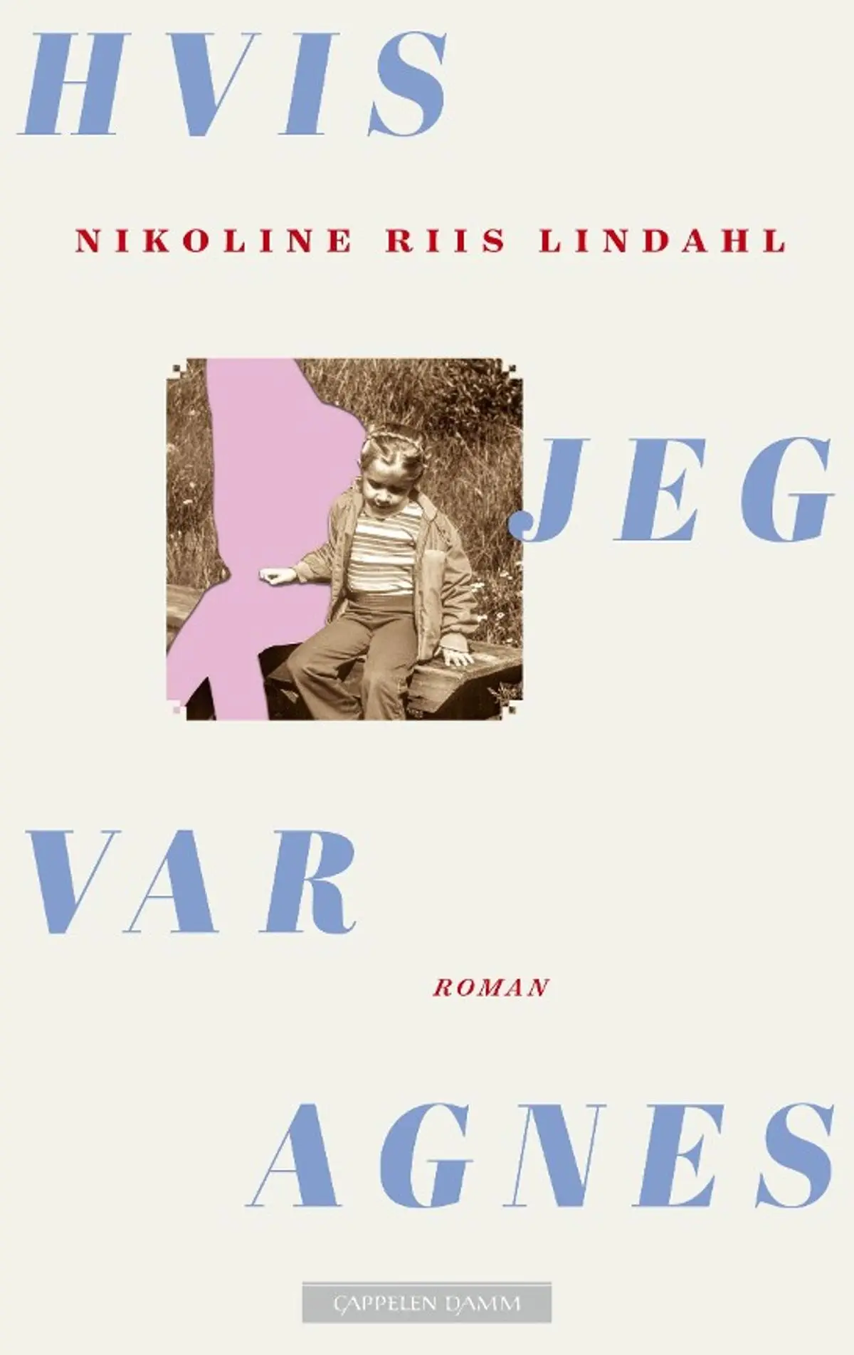 Hvis jeg var Agnes: roman