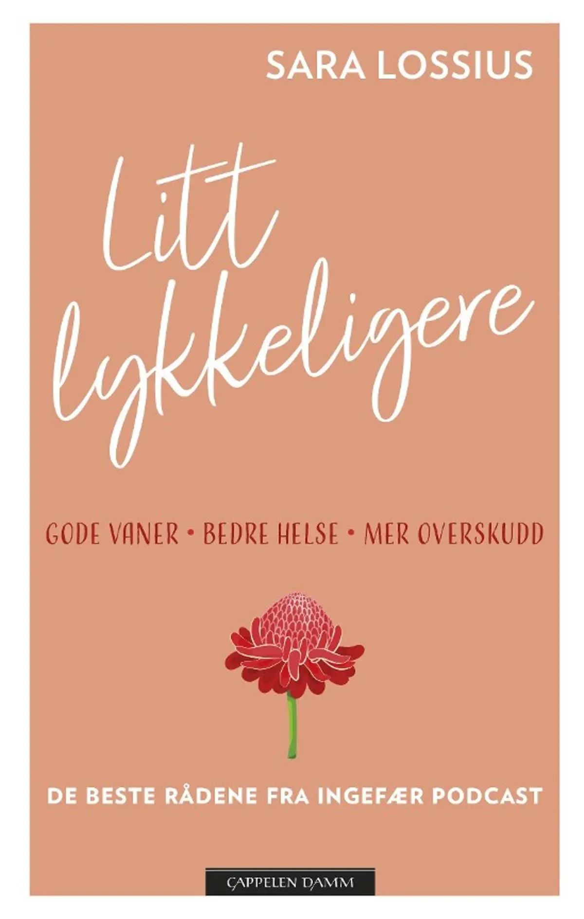 Litt lykkeligere: gode vaner - bedre helse