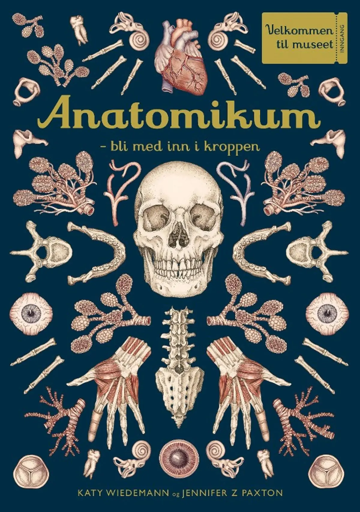 Anatomikum: bli med inn i kroppen