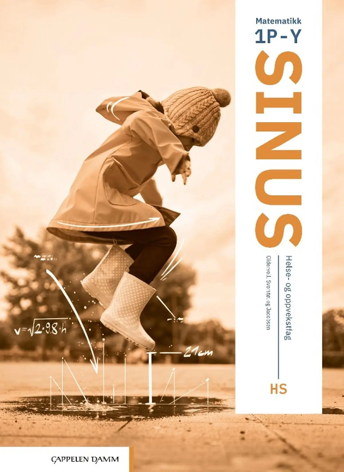 Sinus HS: matematikk 1P-Y : helse- og oppvekstfag