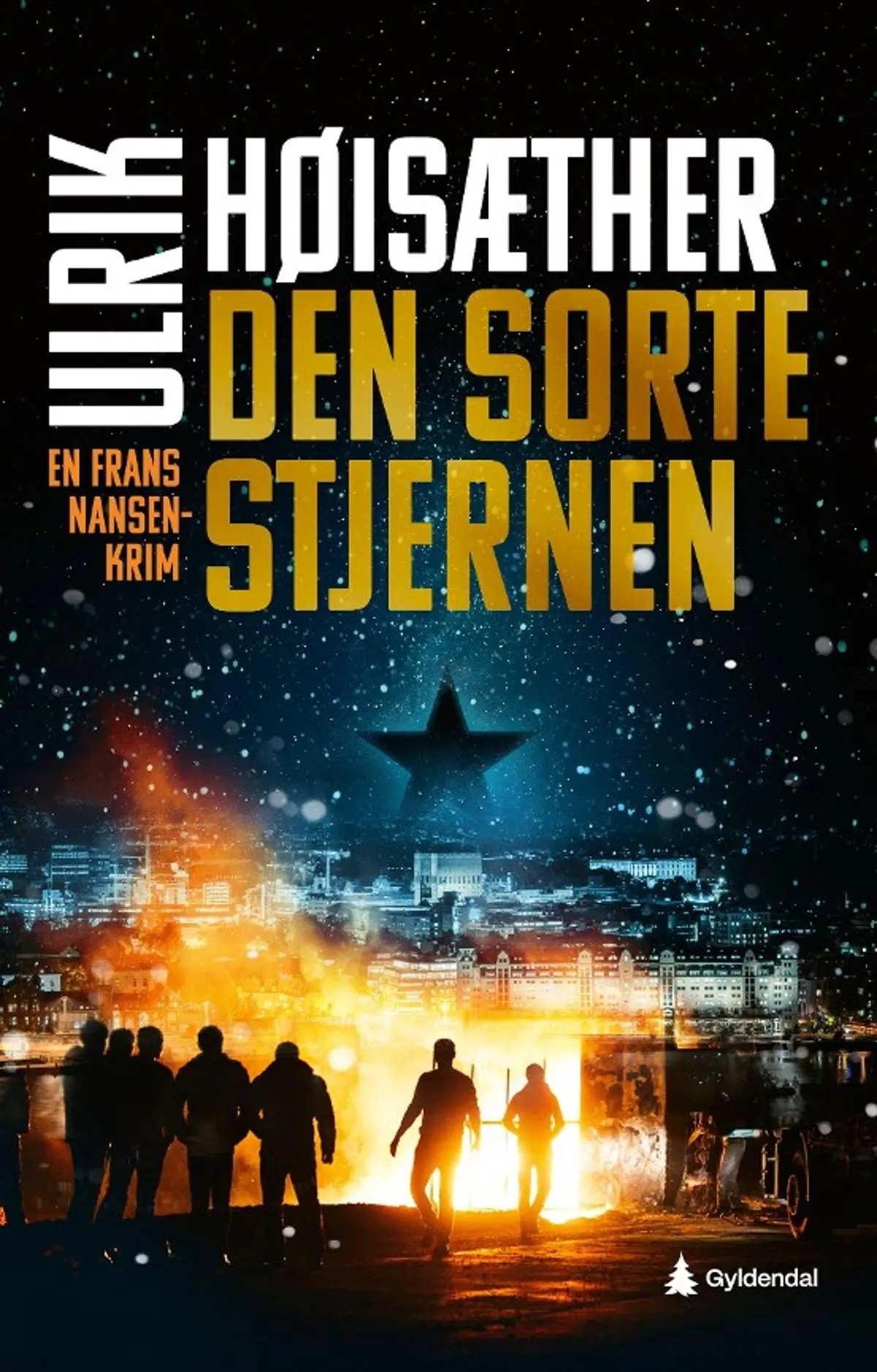 Den sorte stjernen: en Frans Nansen-krim