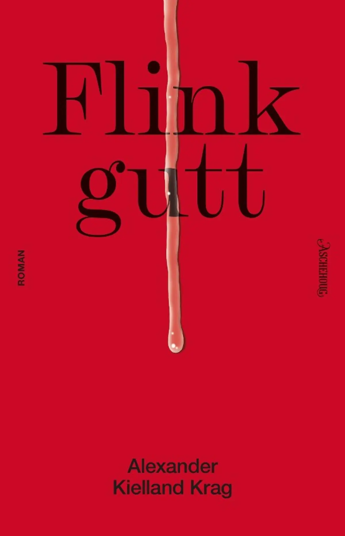 Flink gutt: roman