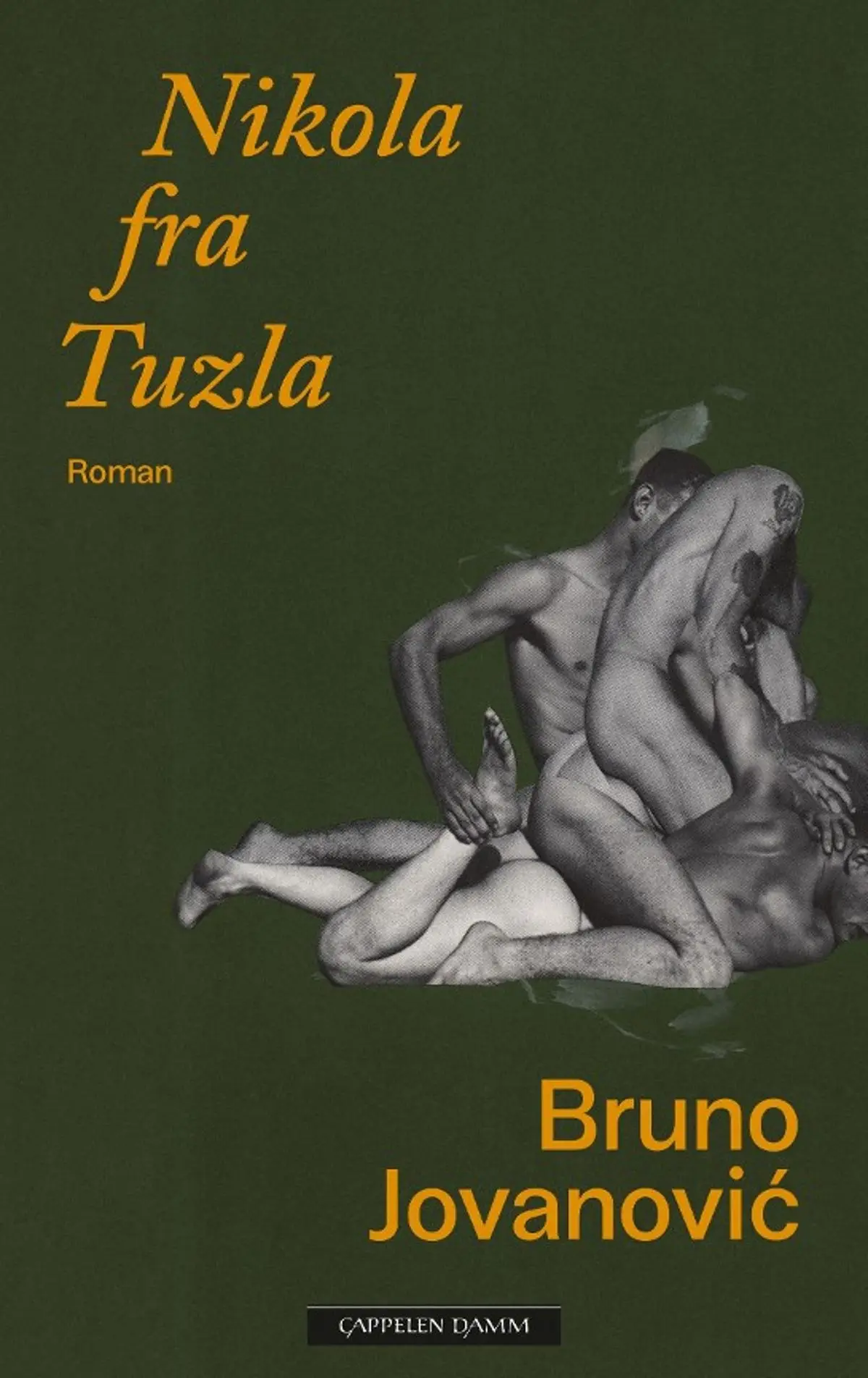 Nikola fra Tuzla