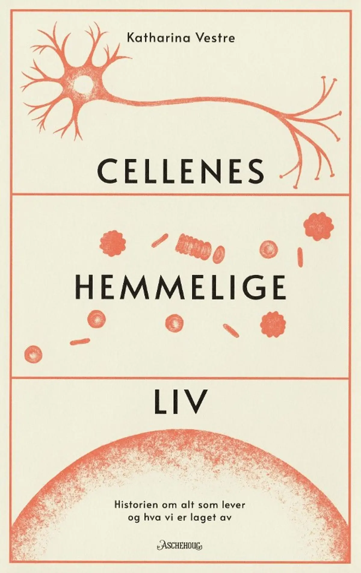 Cellenes hemmelige liv: historien om alt som lever og hva vi er laget av