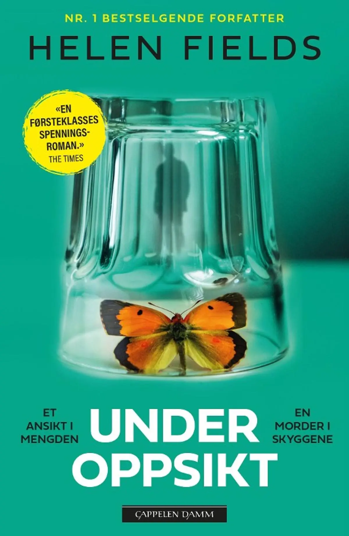 Under oppsikt