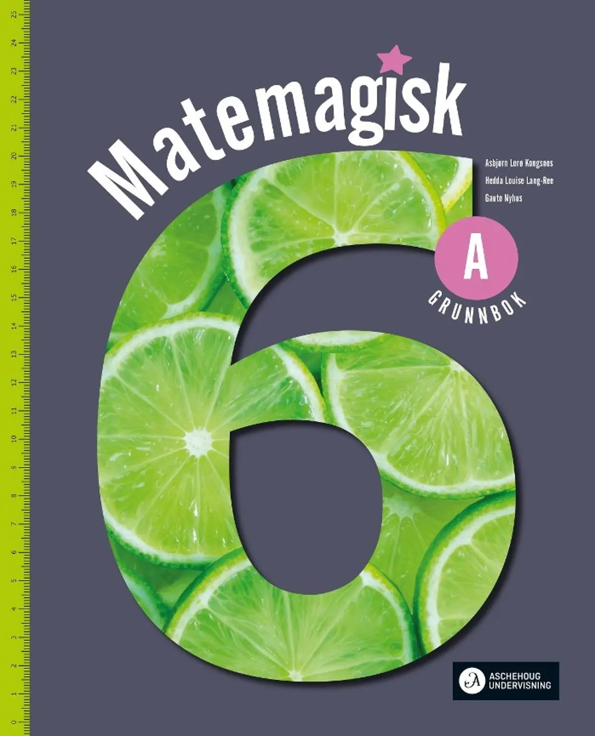 Matemagisk 6A: Grunnbok : matematikk for barnetrinnet