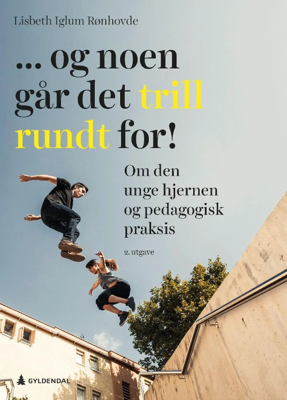 ... og noen går det trill rundt for!: om den unge hjernen og pedagogisk praksis
