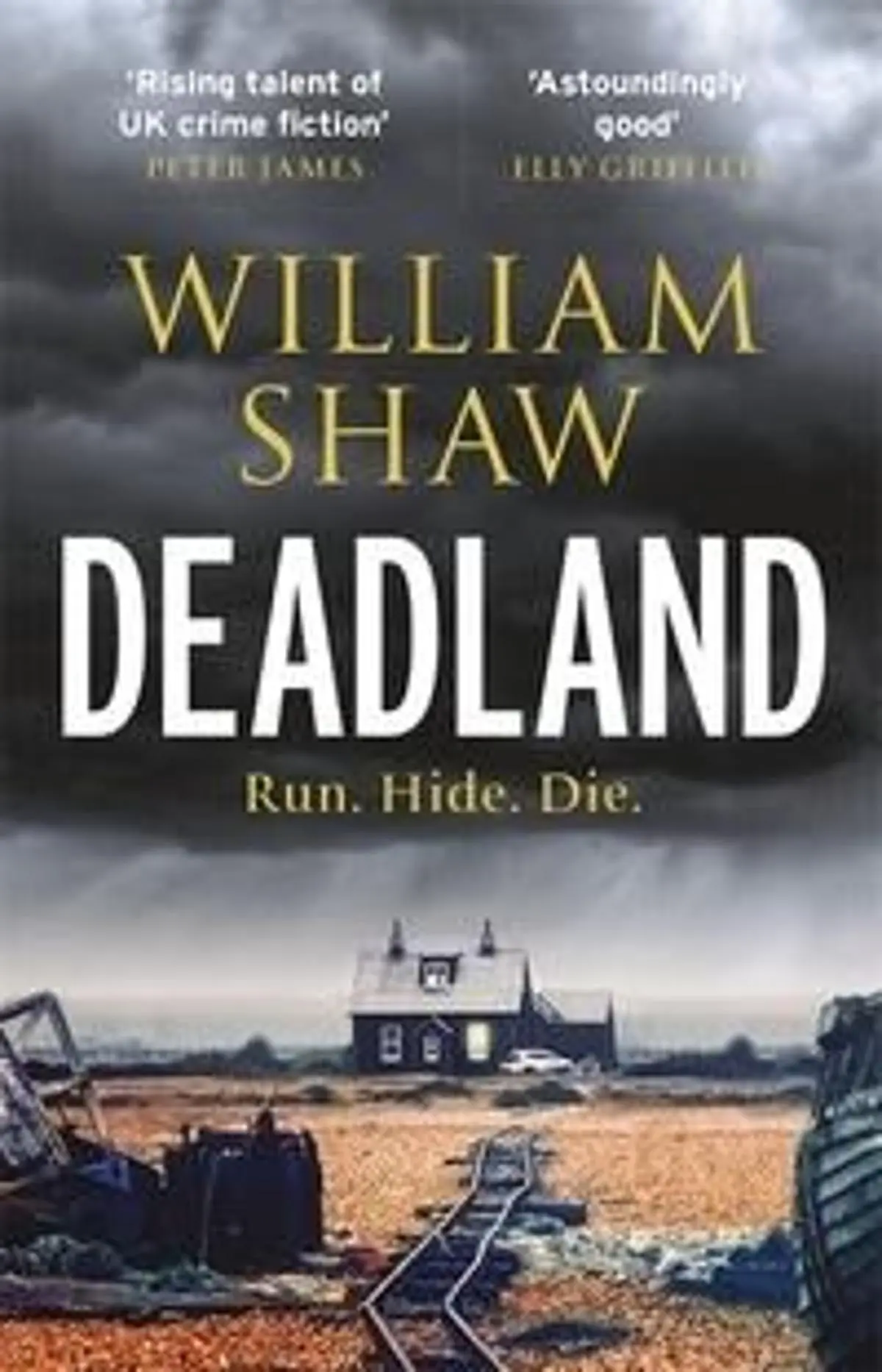 Deadland: the second in the pulse-pounding D.S. Cupidi thrillers
