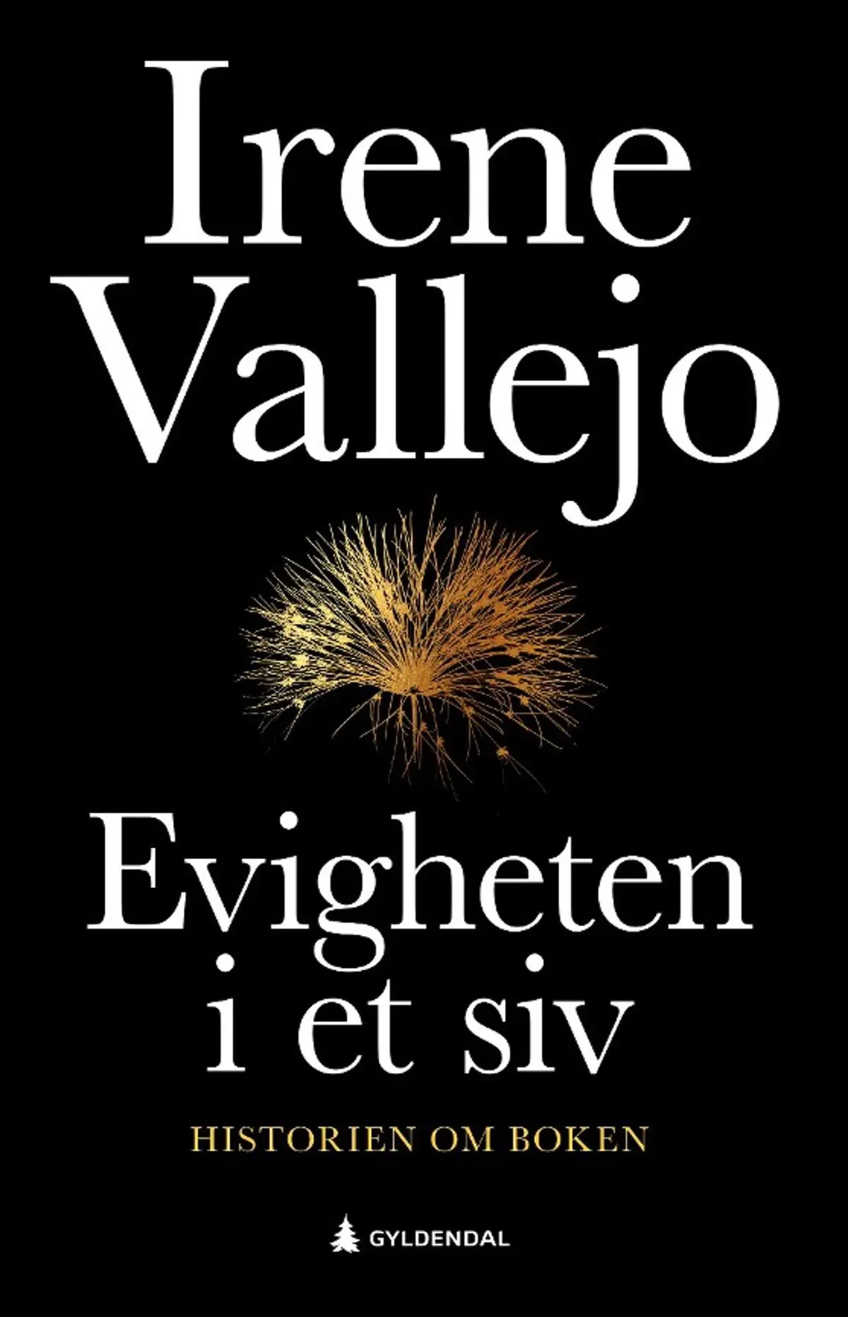 Evigheten i et siv: historien om boken