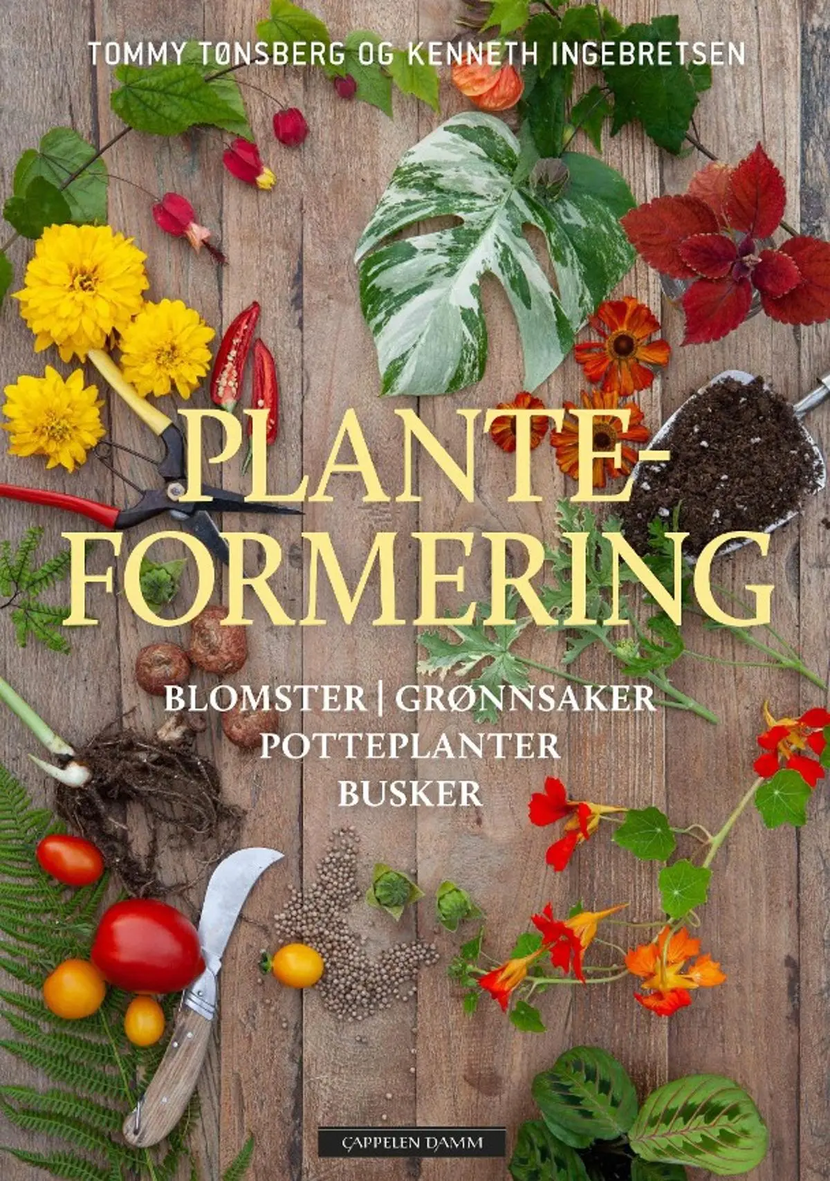 Planteformering: blomster, grønnsaker, potteplanter, busker