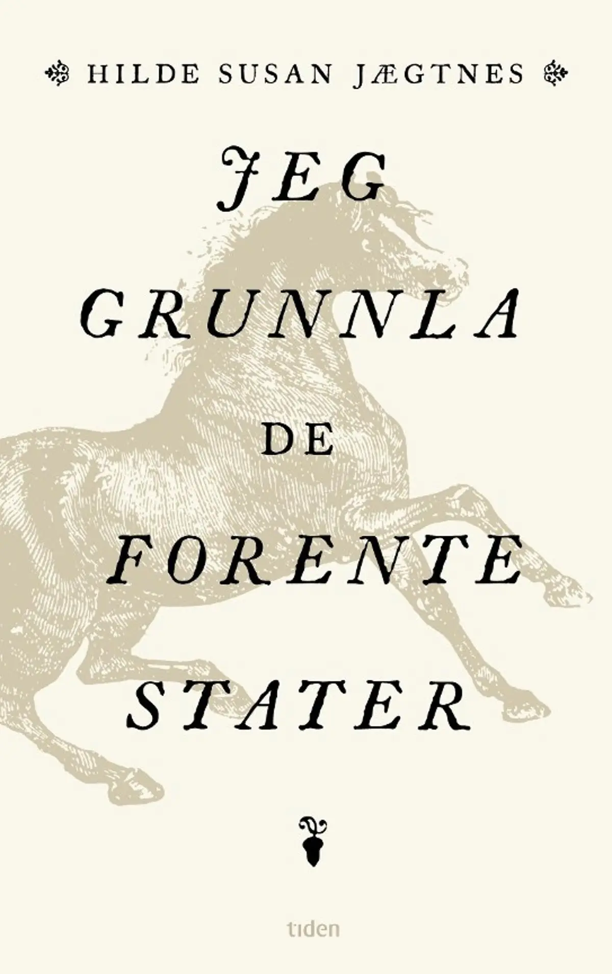 Jeg grunnla De forente stater: roman