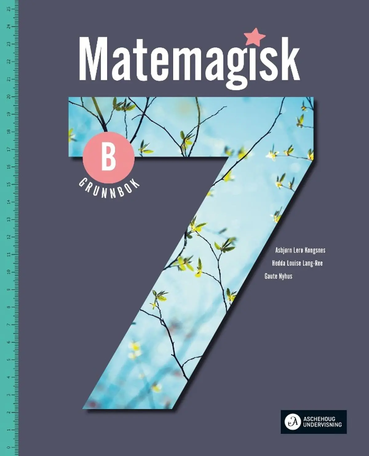 Matemagisk 7B: Grunnbok : matematikk for barnetrinnet