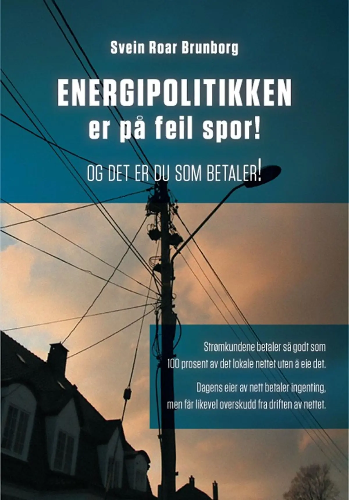 Energipolitikken er på feil spor!: og det er du som betaler!
