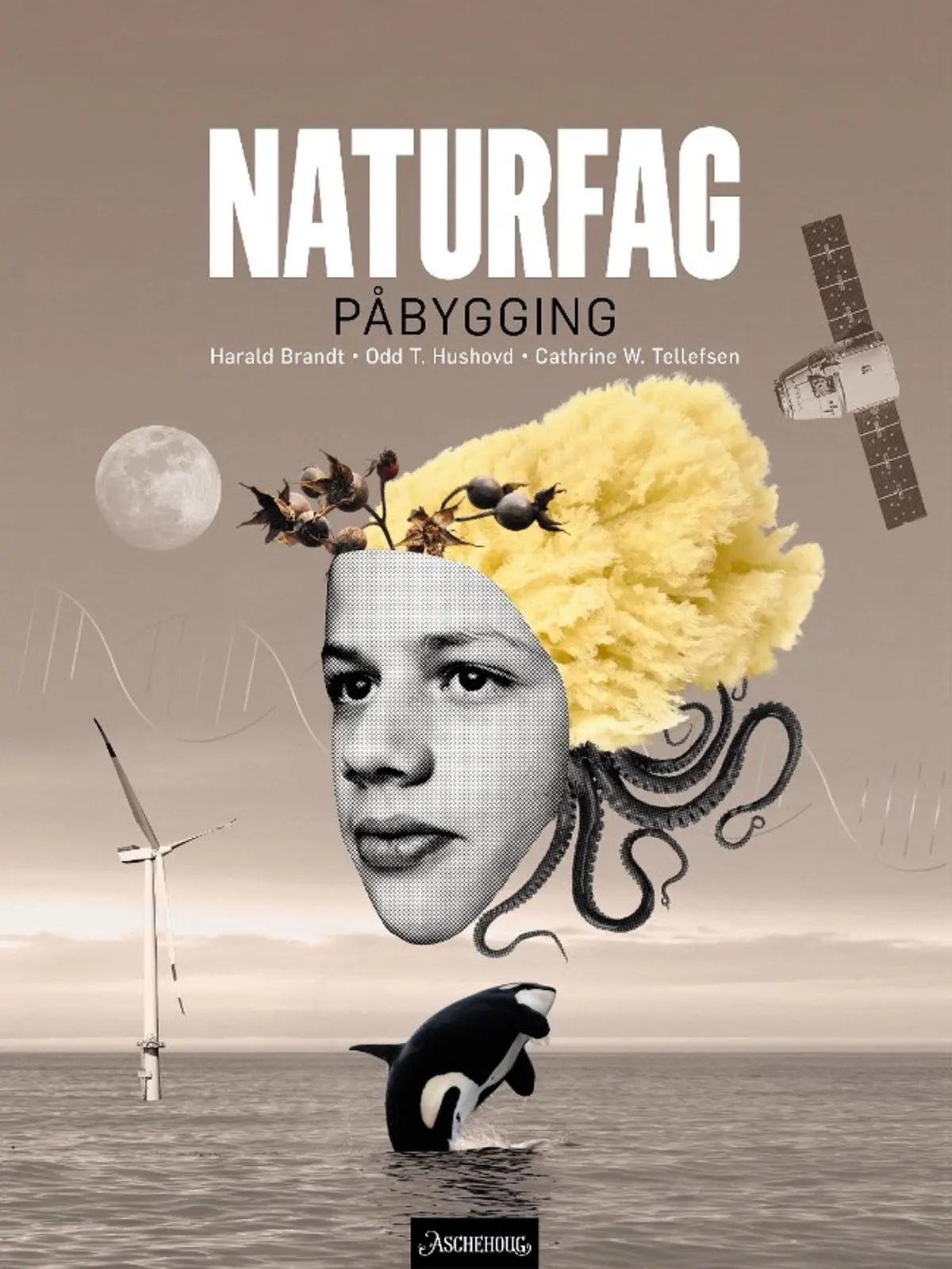 Naturfag påbygging vg3: Lærebok : naturfag for videregående
