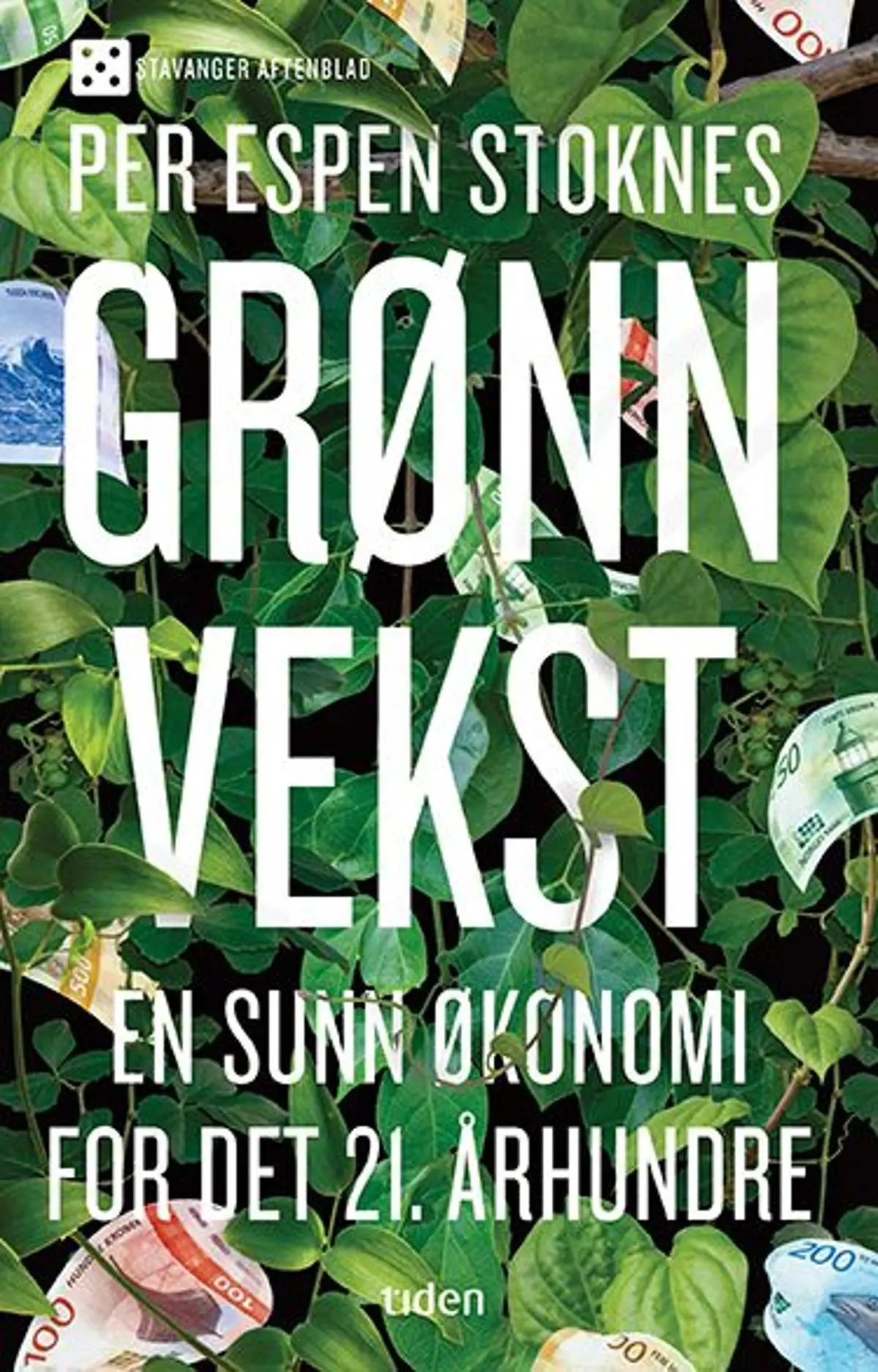 Grønn vekst: en sunn økonomi for det 21. århundre