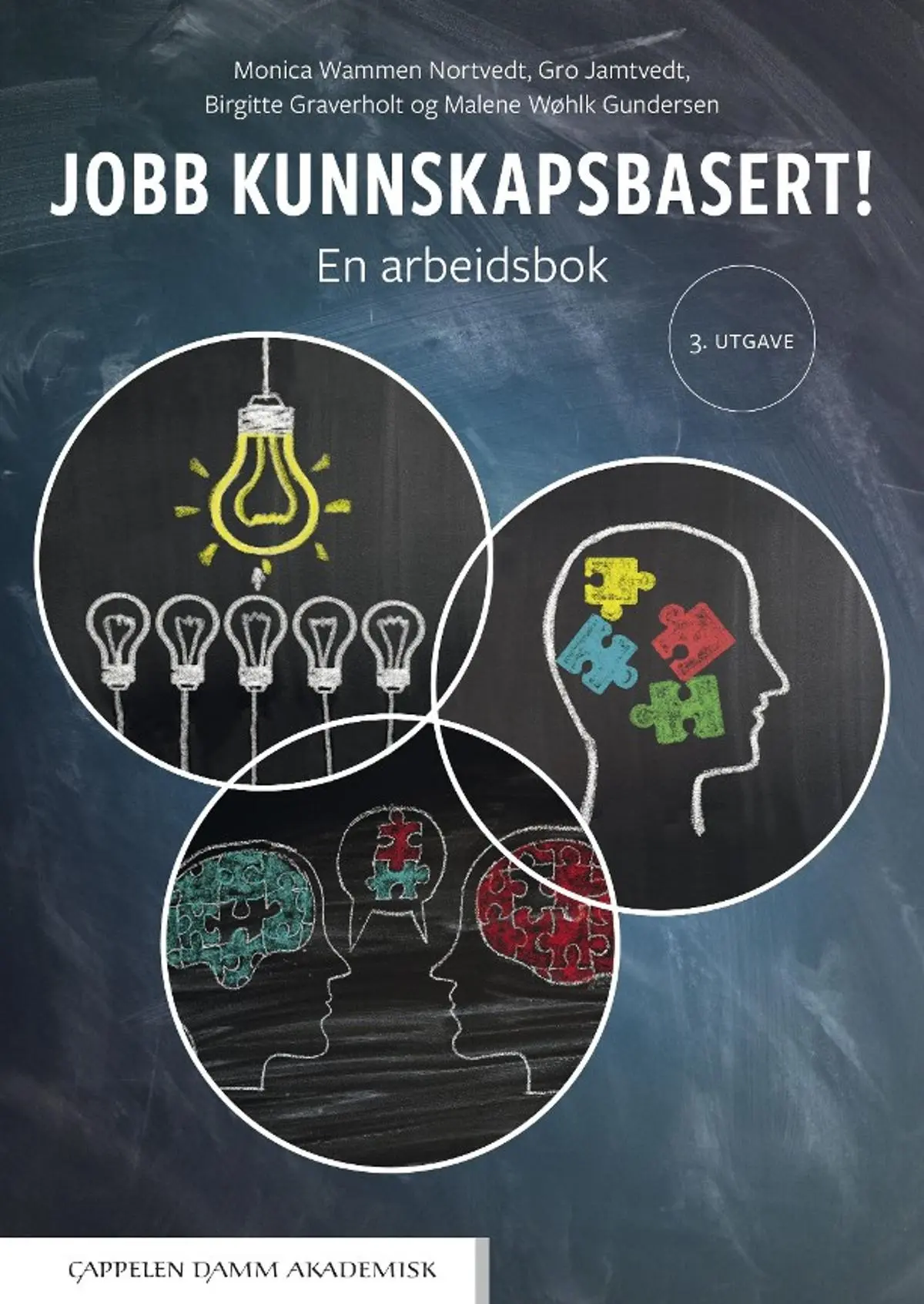 Jobb kunnskapsbasert!: en arbeidsbok